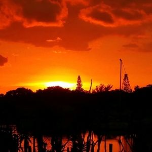 Meet your Posher, Bobbieanne